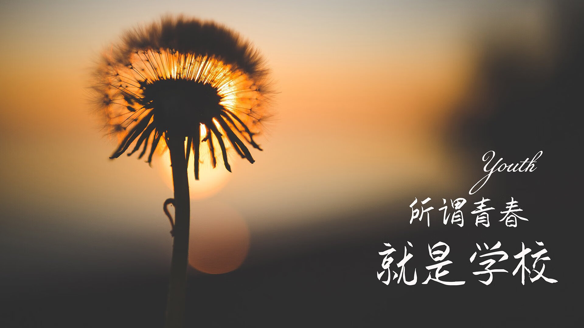 爱游戏体育APP下载-北京国安新帅上任首战告捷，北京国安2020年主帅