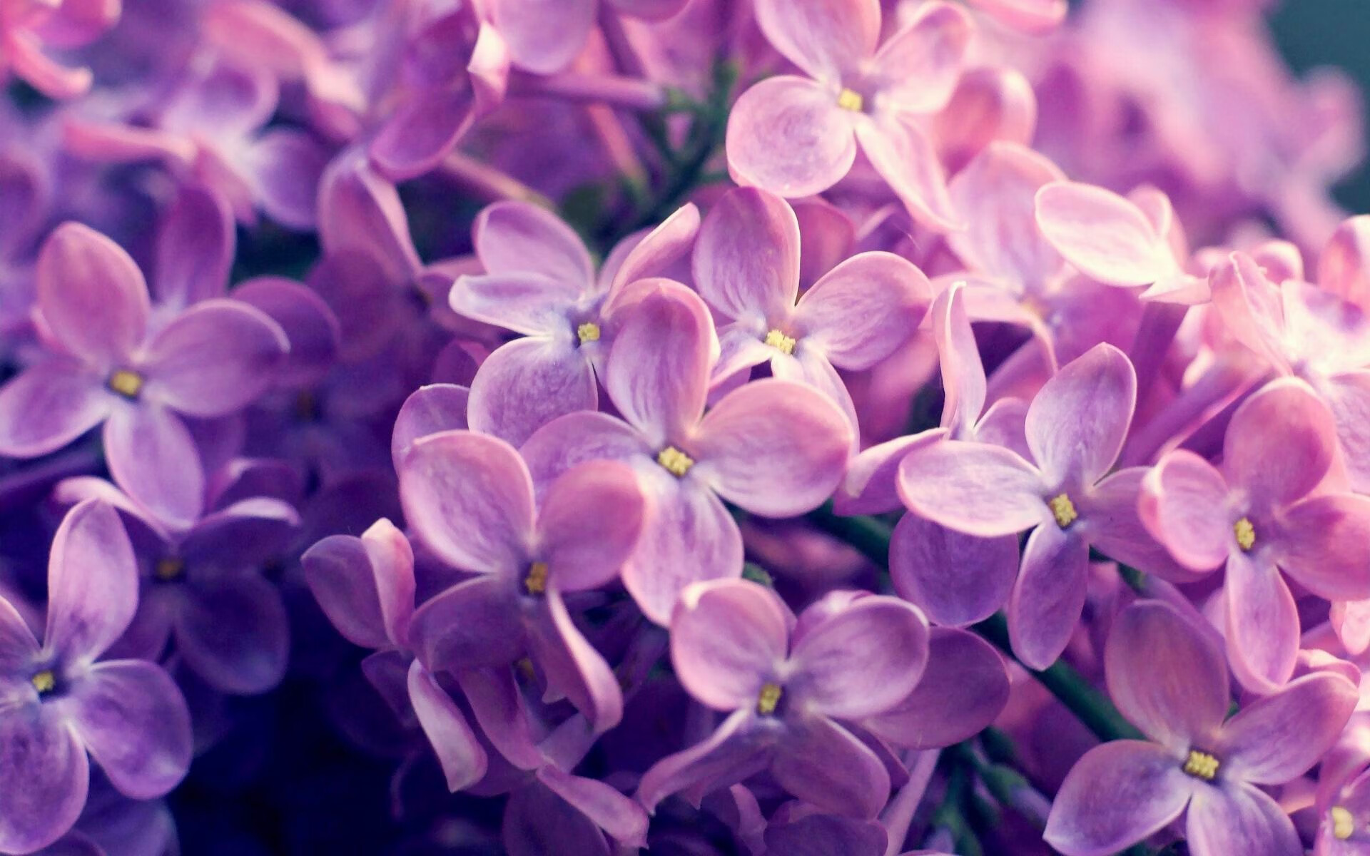 “高新体育中心：沙滩排球赛事燃起热潮，选手拼劲力”