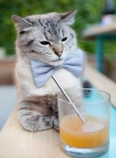 全国越野滑雪挑战赛多地同步开滑，越野滑雪比赛分别