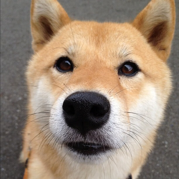 新型球台面料提升比赛稳定性与速度,台球材质种类