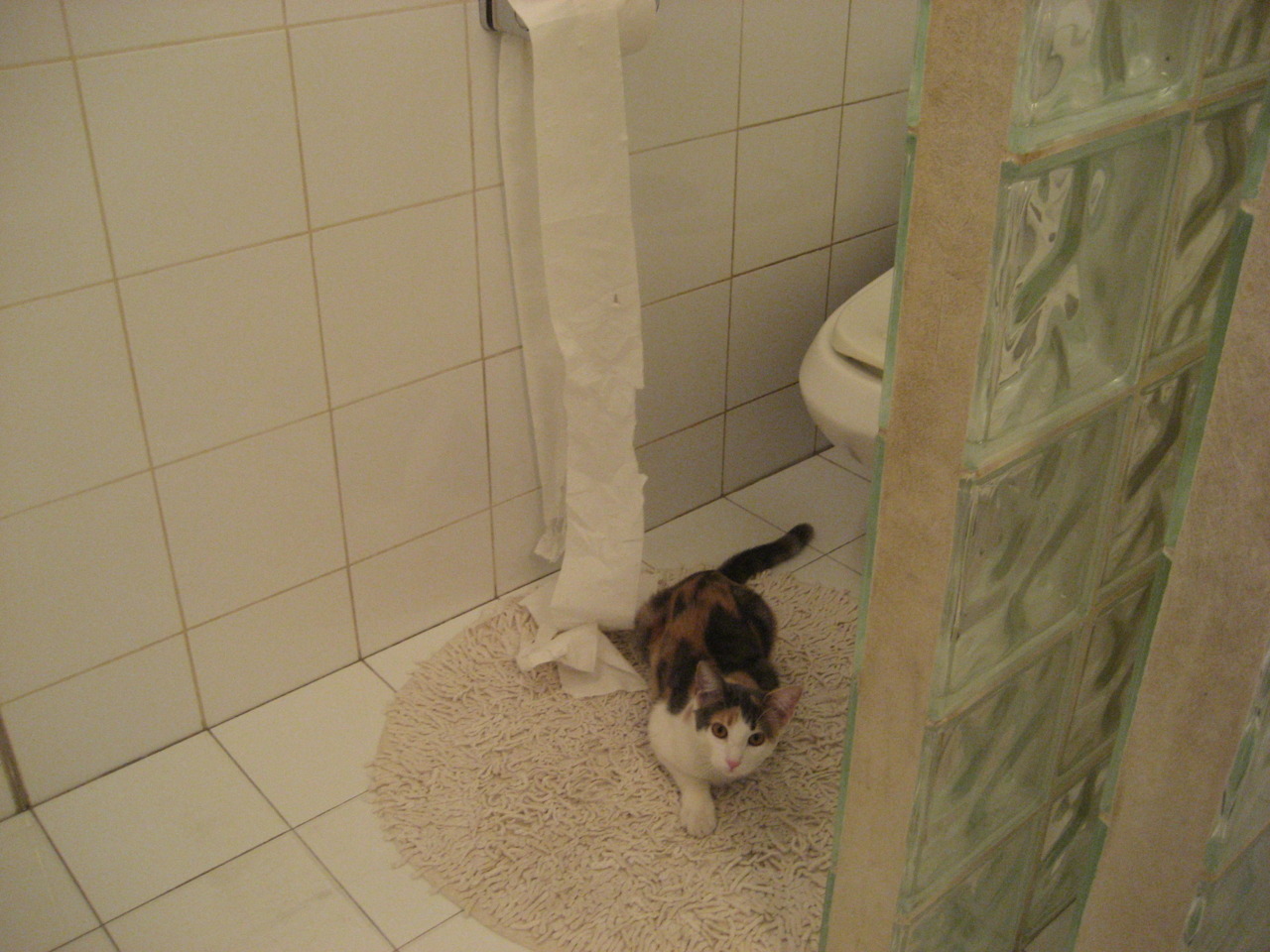 校园篮球课程为何缺乏系统化衔接,学校篮球课程开展