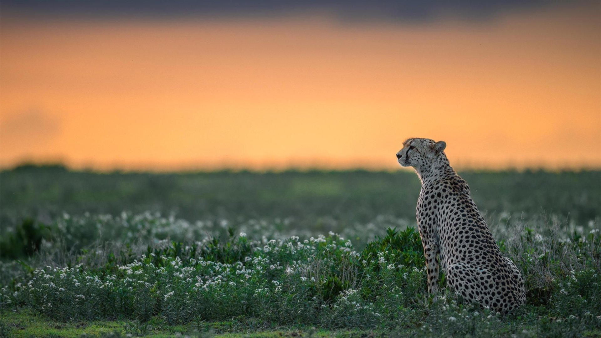 中国足球联赛新赛季全面启动,中国 足球 联赛
