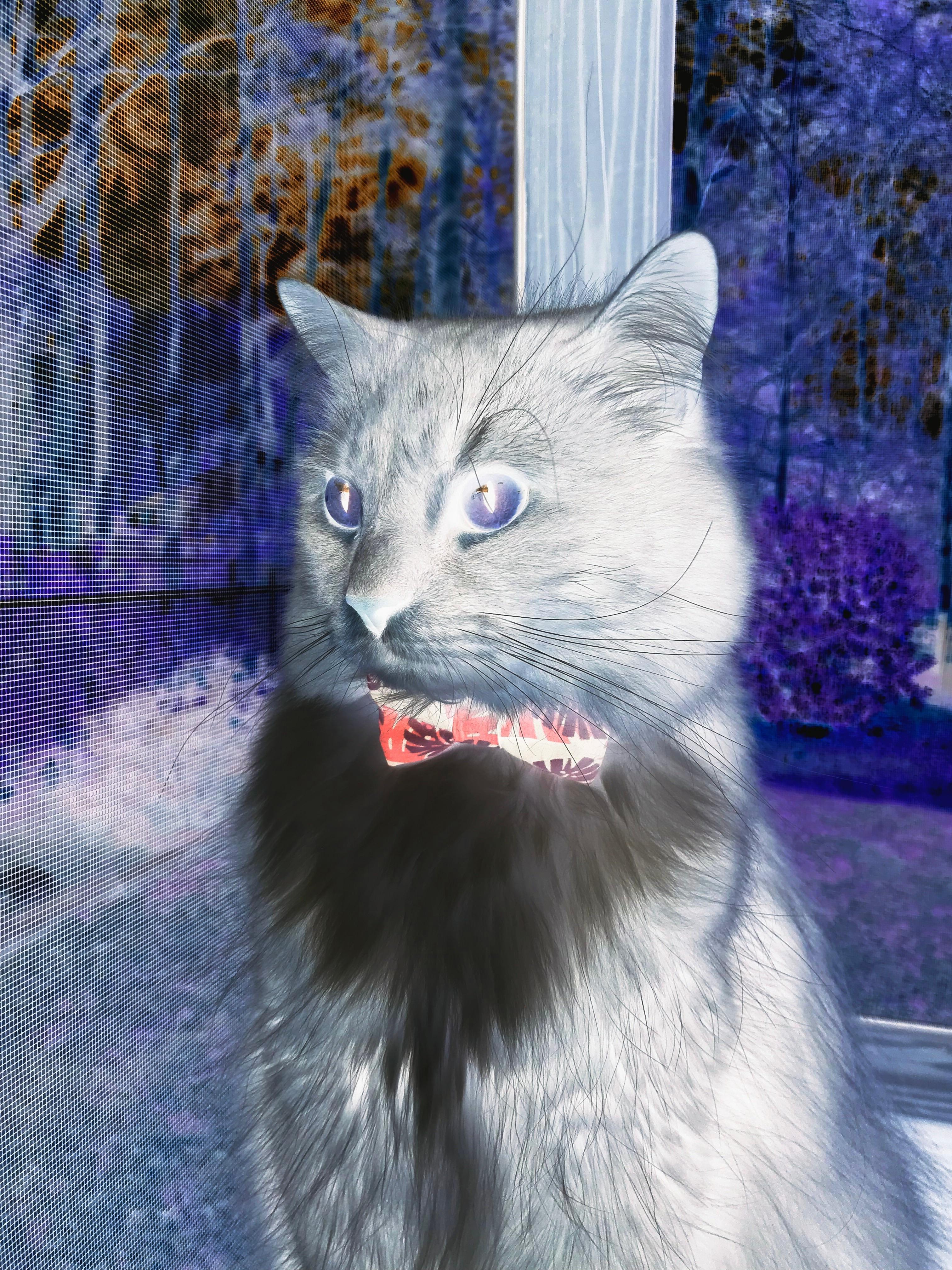 爱游戏app下载-凯尔特人主力轮休安排受到媒体密切关注，凯尔特人21个首轮