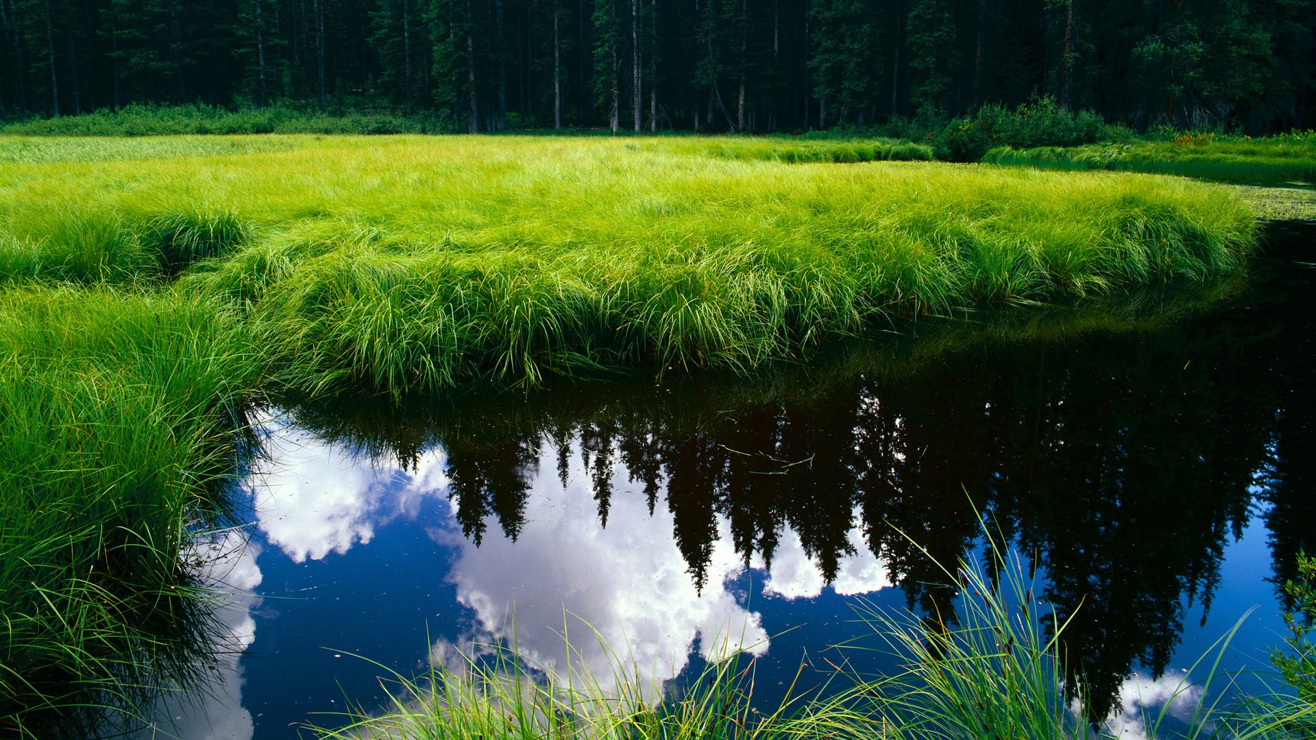 塞尔·拉恩:全黑队外线的“闪电翼锋”,让对手防线陷入困境