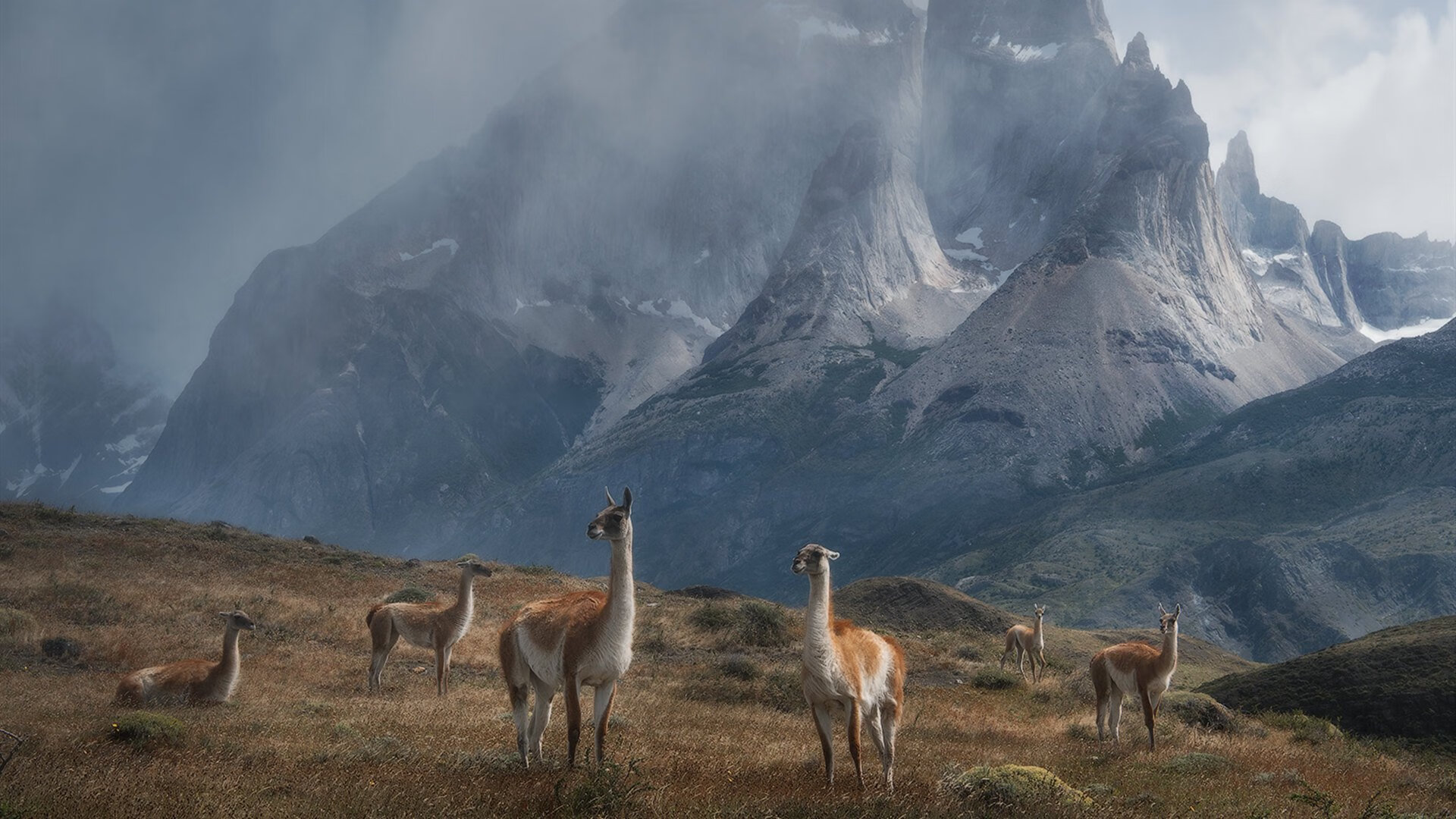 尤文图斯引援成功，中场实力明显增强