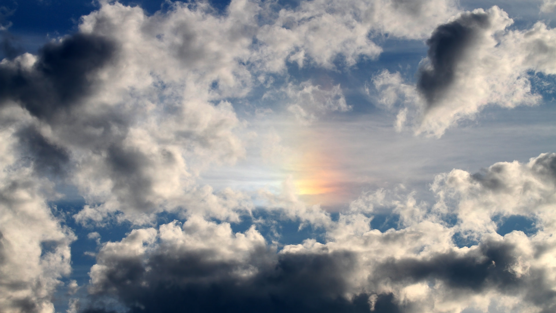 希腊女篮在欧洲锦标赛中展现顽强实力，向冠军全力冲锋，希腊男篮欧锦赛