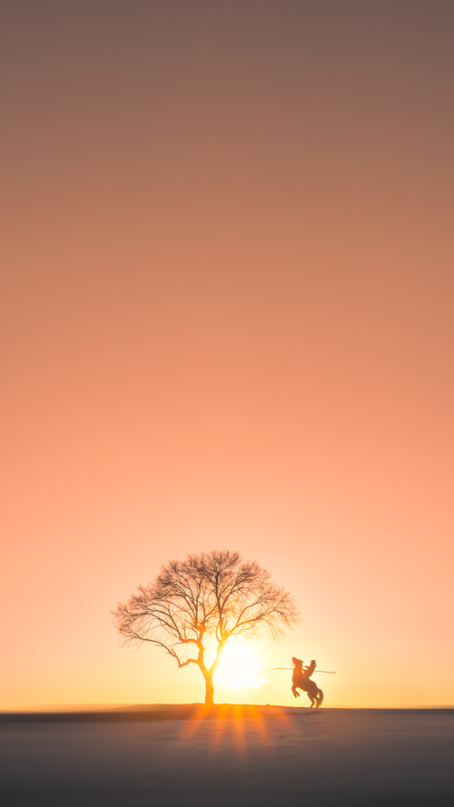 立陶宛女篮在欧洲锦标赛中挺进决赛，传统强队再续辉煌，立陶宛女篮 日历