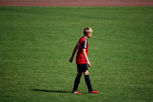 ayx体育app官网入口-NBA球员训练方法创新，nba球员训练视频,篮球技术